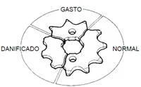 Aspecto de uma coroa ou pinhão com os dentes gastos ou danificados